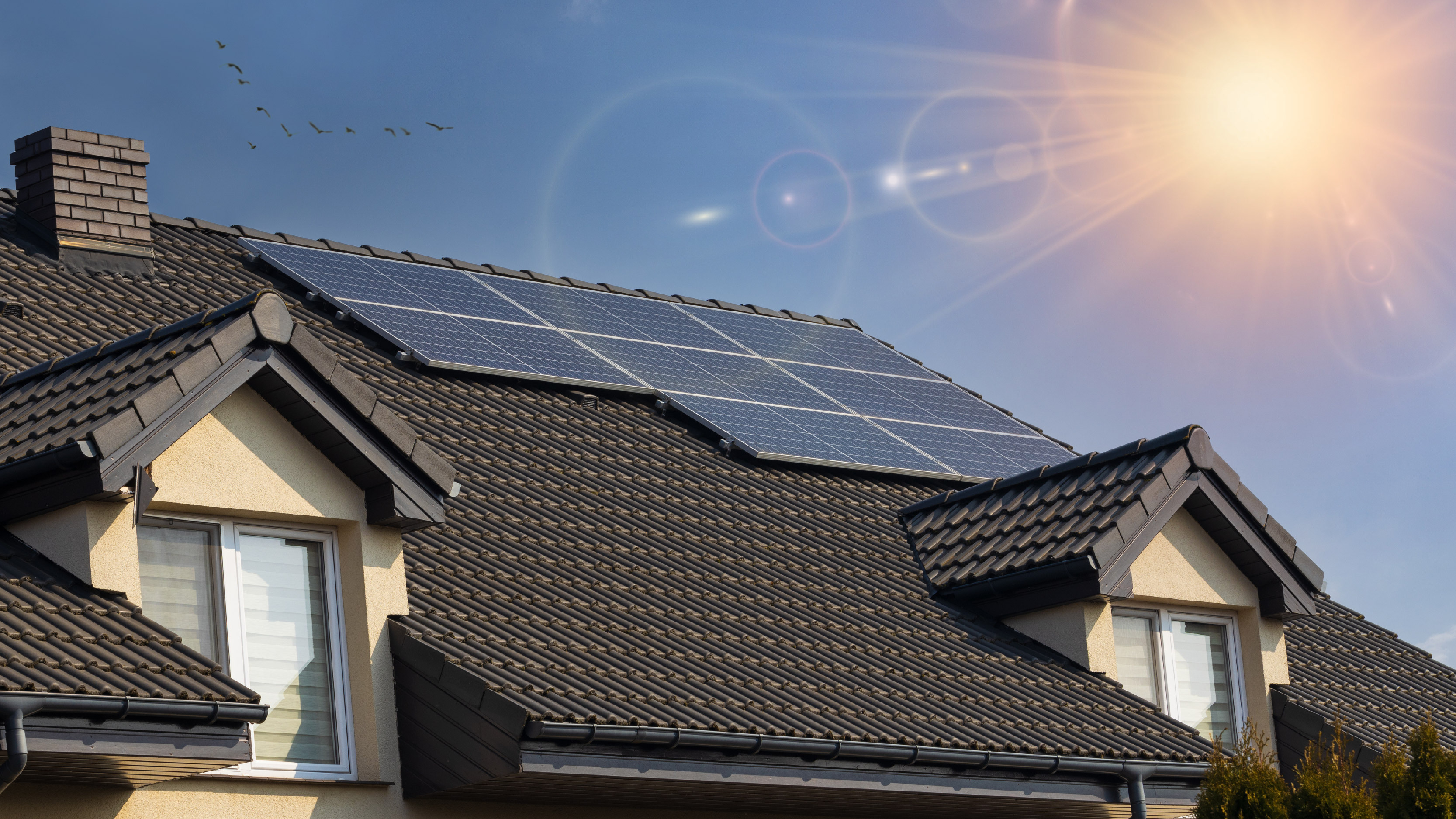Government to slash VAT on solar panels to zero bonkers.ie