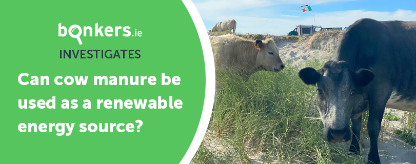 Can harnessing cow manure lower Ireland’s greenhouse gas emissions?